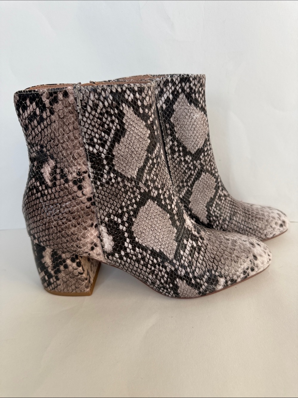 Chinese Laundry Snake-Print Ankle Boots in Gray and Black